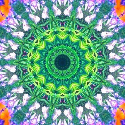 A colorful circular pattern with leaves - Images with Kaleidoscope24