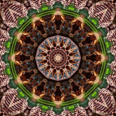 A colorful Image created with Kaleidoscope24.com