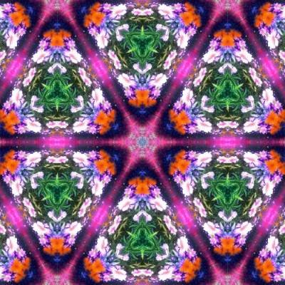 A colorful pattern of flowers - Images with Kaleidoscope24