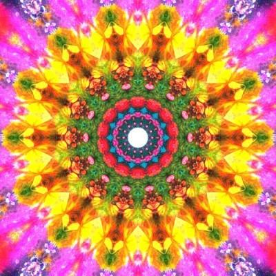 A colorful circular pattern with flowers - Images with Kaleidoscope24